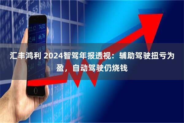 汇丰鸿利 2024智驾年报透视：辅助驾驶扭亏为盈，自动驾驶仍烧钱