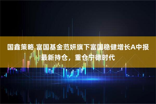 国鑫策略 富国基金范妍旗下富国稳健增长A中报最新持仓，重仓宁德时代