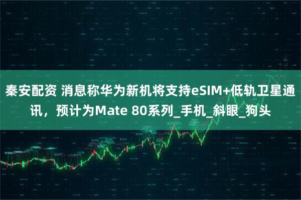 秦安配资 消息称华为新机将支持eSIM+低轨卫星通讯，预计为Mate 80系列_手机_斜眼_狗头