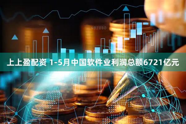 上上盈配资 1-5月中国软件业利润总额6721亿元