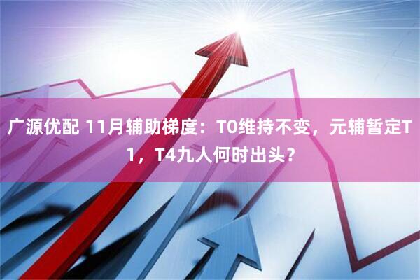 广源优配 11月辅助梯度：T0维持不变，元辅暂定T1，T4九人何时出头？